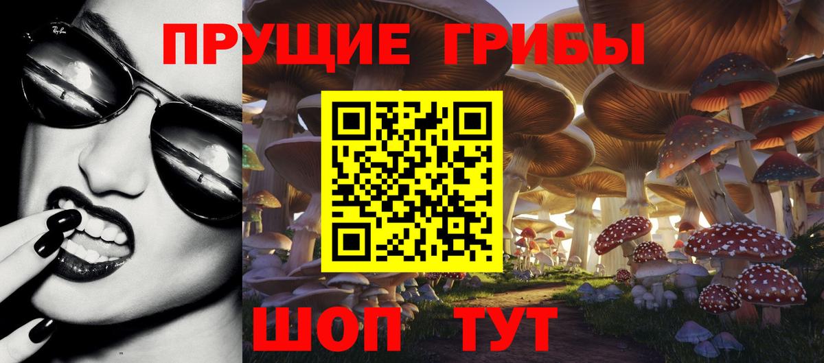 Галлюциногенные грибы мухоморы Асбест