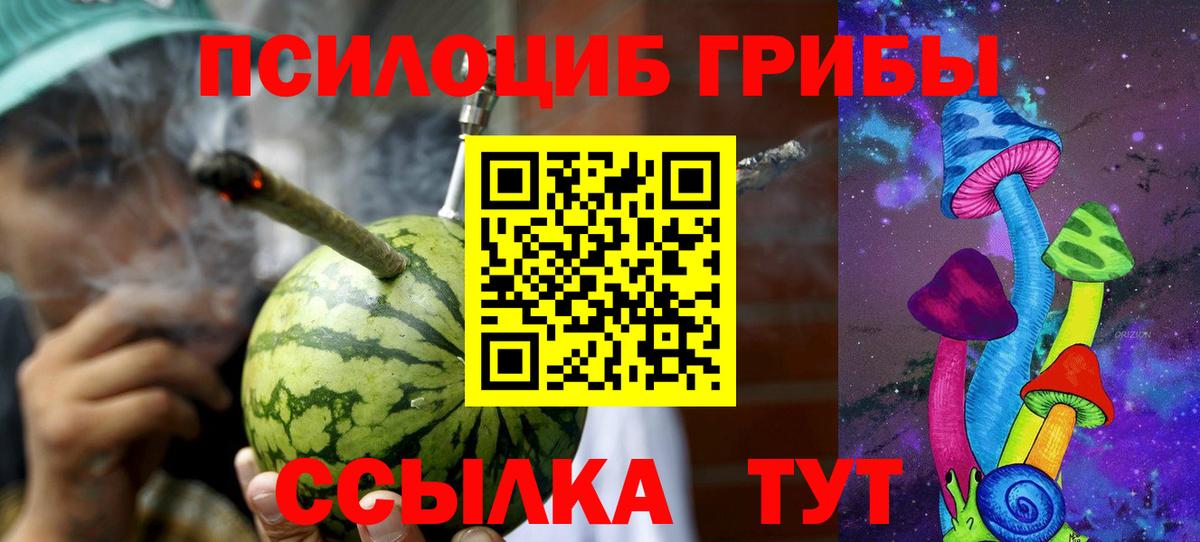 Псилоцибиновые грибы Cubensis  Вход с VPN  Асбест  Галлюциногенные грибы мухоморы 